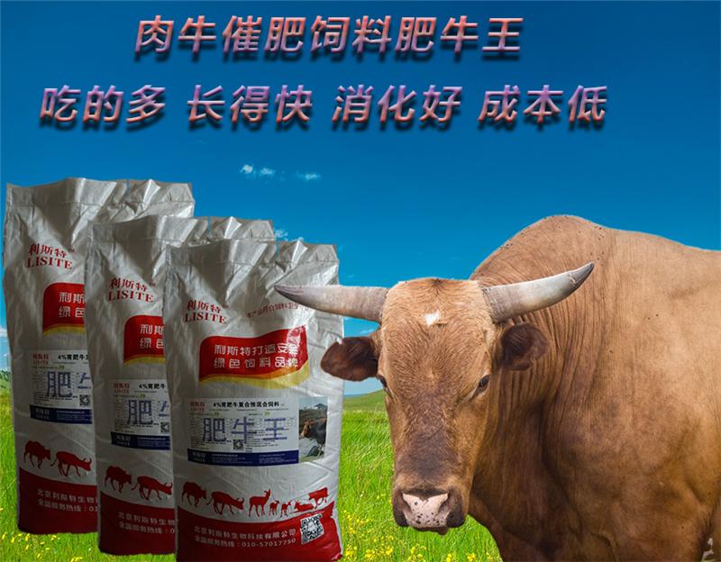 2．肉牛預(yù)混料供應(yīng)商：什么是肉牛預(yù)混料？品牌好