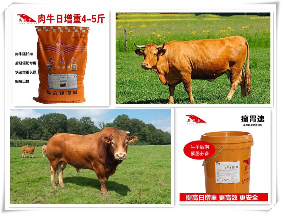 4、中國最好的牛羊飼料是哪家