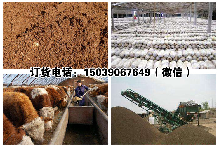 4．發(fā)酵牛飼料可以喂牛嗎？ 