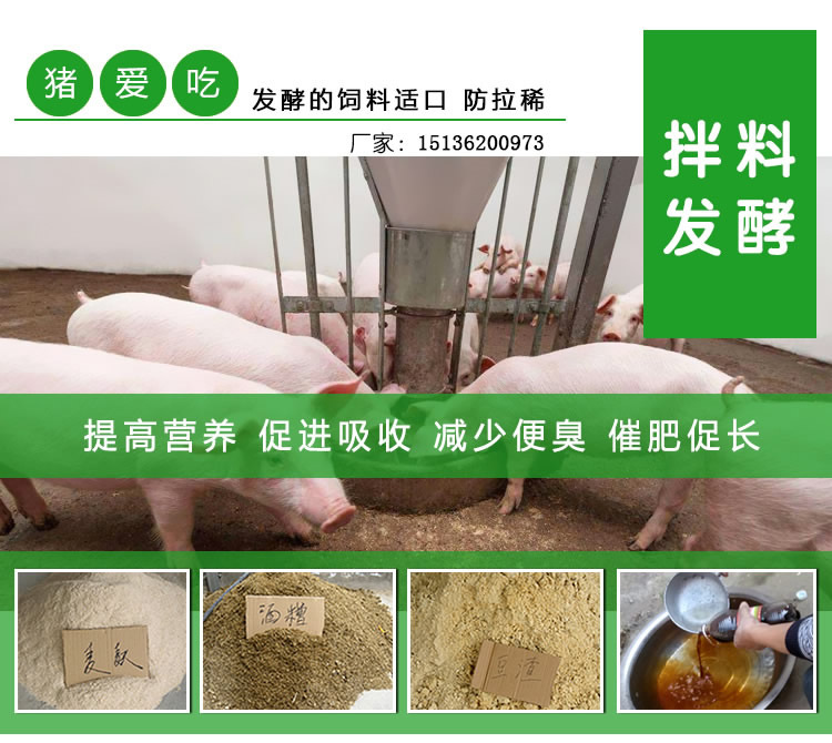 2、豬飼料可以喂牛嗎？