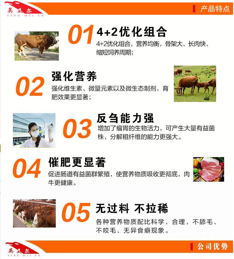 2、一頭奶牛一年應該準備多少飼料？喂食時如何混合飼料？ 