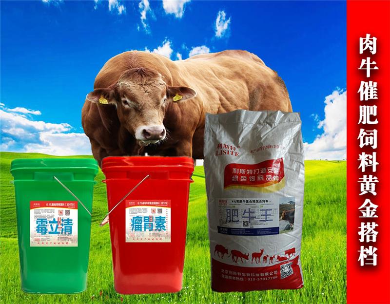1、育肥牛如何長得更快？紅糖飼喂奶牛具有增肥作用