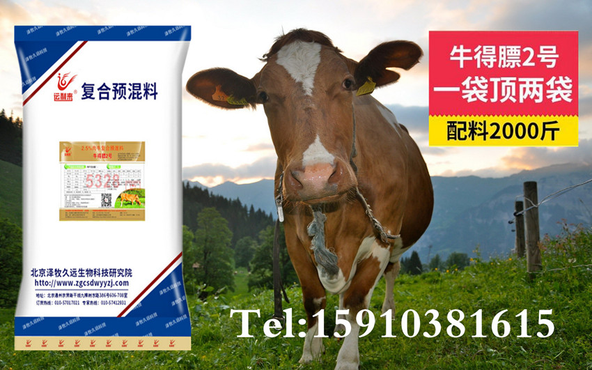 1、育肥牛飼料配方