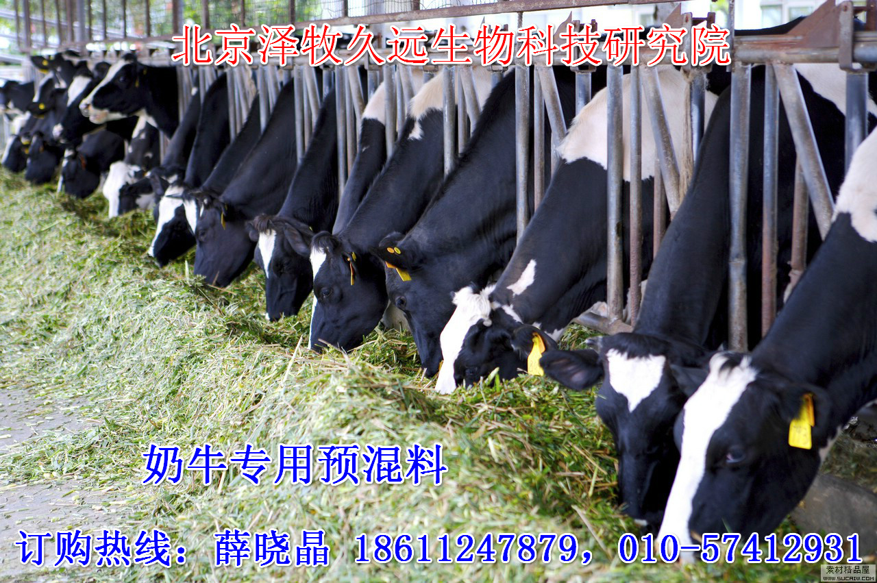 2、奶牛飼料廠有哪些？